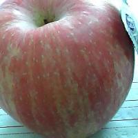 /photo/691232/平安性福/照片 002_1_1_small.jpg